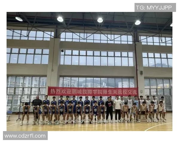 深圳篮球队的灵活战术与团队协作分析探讨