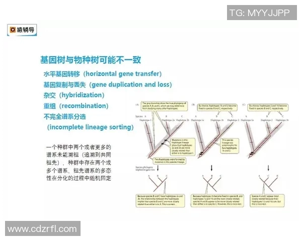 广州足球队心理素质深度解析与竞技表现的关系探讨