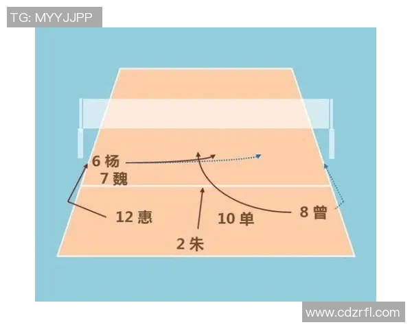 杭州排球队的战术演变与球员转换深度解析 杭州排球队的战术演变与球员转换深度解析