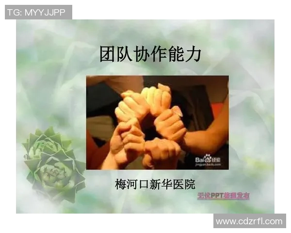 武汉排球队的团队协作与默契配合的深度探讨与分析 武汉排球队的团队协作与默契配合的深度探讨与分析