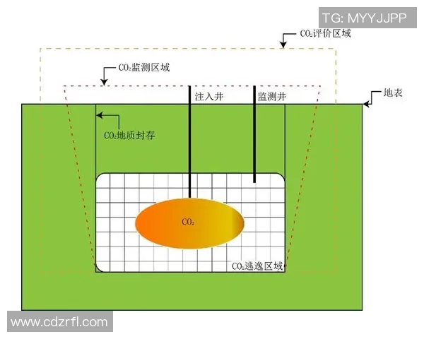 武汉羽毛球队技术分析与表现评估探讨及未来发展方向研究 武汉羽毛球队技术分析与表现评估探讨及未来发展方向研究