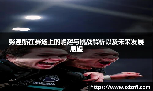 努涅斯在赛场上的崛起与挑战解析以及未来发展展望