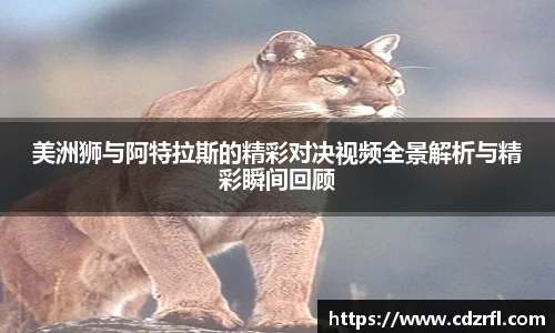 美洲狮与阿特拉斯的精彩对决视频全景解析与精彩瞬间回顾